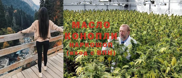 гашик Богородицк