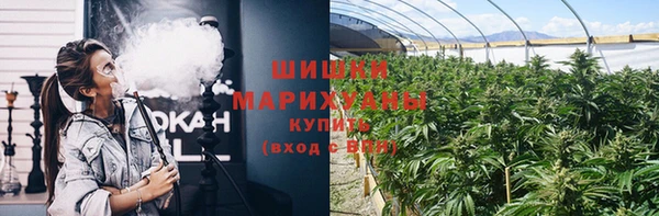 прущая мука Богородск