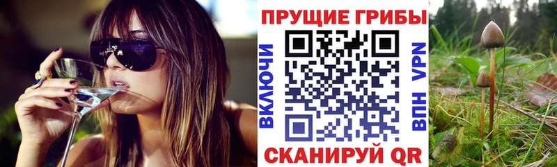 blacksprut ссылка Ессентукская Псилоцибиновые грибы мухоморы